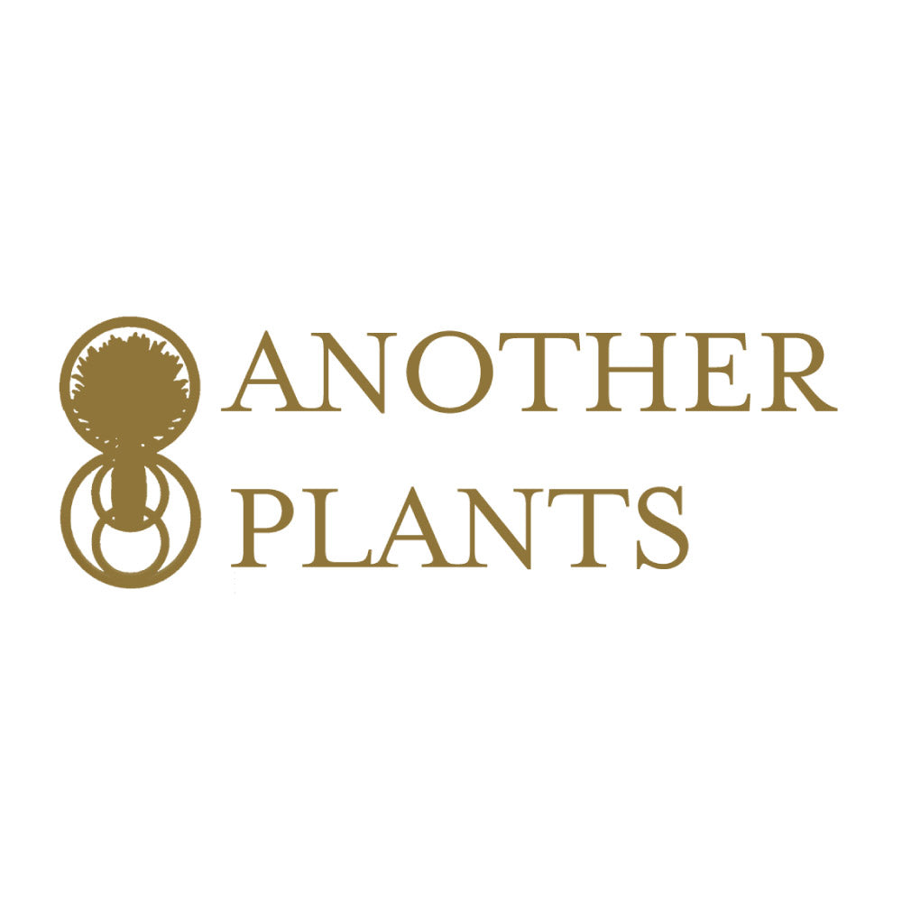商品 – ANOTHER PLANTS