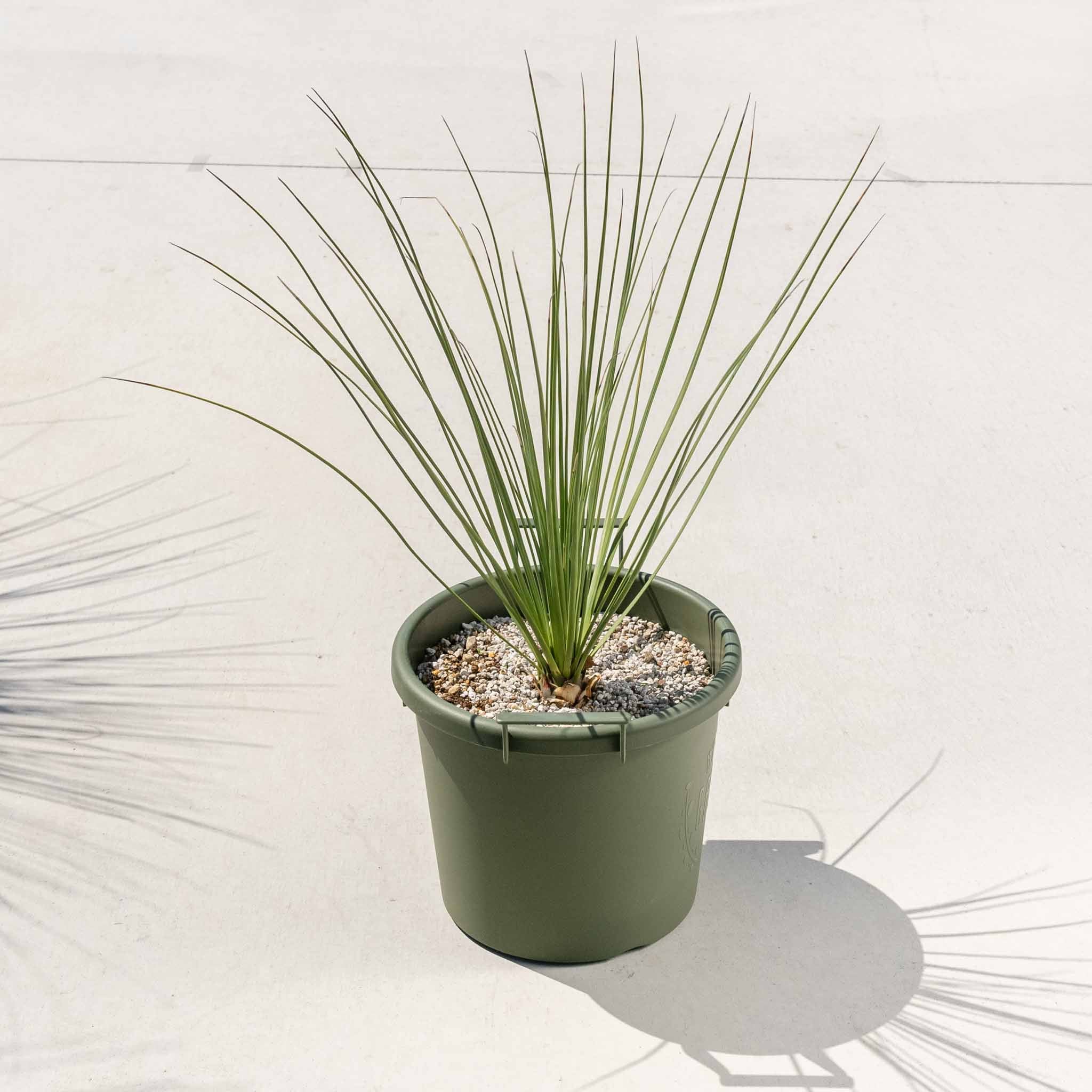 3_37aabcd9-1a4b-4231-83b8-