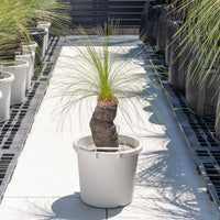 ジョンソニーNo.2