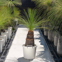 ジョンソニーNo.26