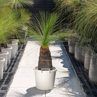 ジョンソニーNo.26