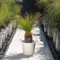 ジョンソニーNo.27