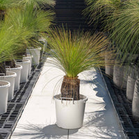 ジョンソニーNo.27