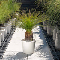 ジョンソニーNo.27