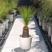 ジョンソニーNo.28