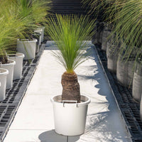 ジョンソニーNo.28