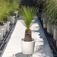 ジョンソニーNo.28