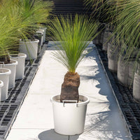 ジョンソニーNo.28