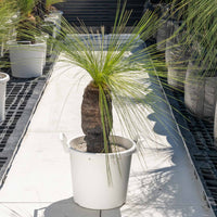 ジョンソニーNo.30