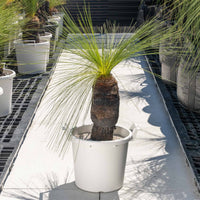 ジョンソニーNo.30