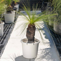 ジョンソニーNo.30