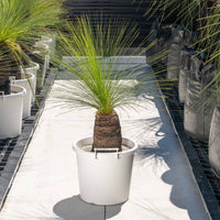 ジョンソニーNo.34