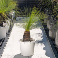 ジョンソニーNo.34