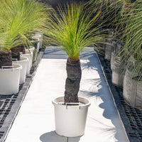 ジョンソニーNo.35