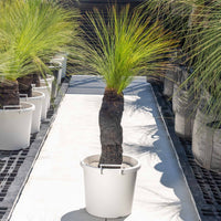 ジョンソニーNo.35