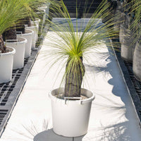 ジョンソニーNo.38