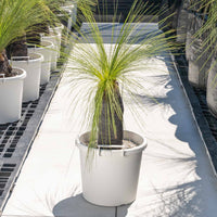 ジョンソニーNo.38