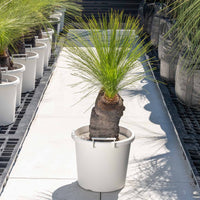 ジョンソニーNo.39