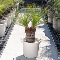 ジョンソニーNo.39