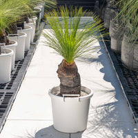 ジョンソニーNo.39