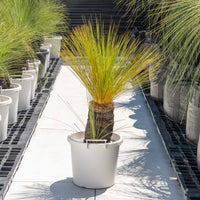 ジョンソニーNo.4