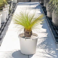 ジョンソニーNo.5