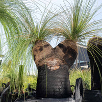 プレイシーNo.72