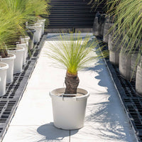 ジョンソニーNo.8